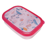 Atlas Lunch Box - Large - Clear Pac