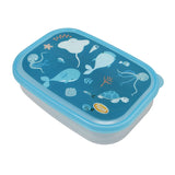 Atlas Lunch Box - Large - Clear Pac